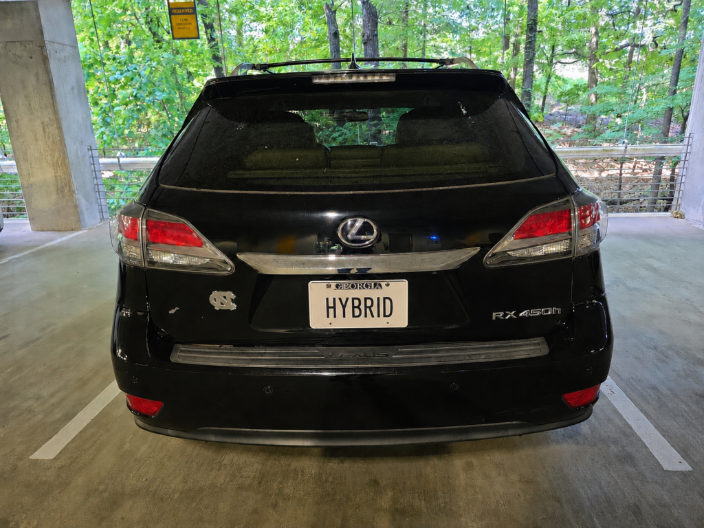 GALLERY hybrids